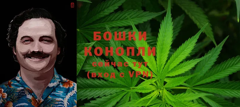 хочу наркоту  Рассказово  Каннабис LSD WEED 